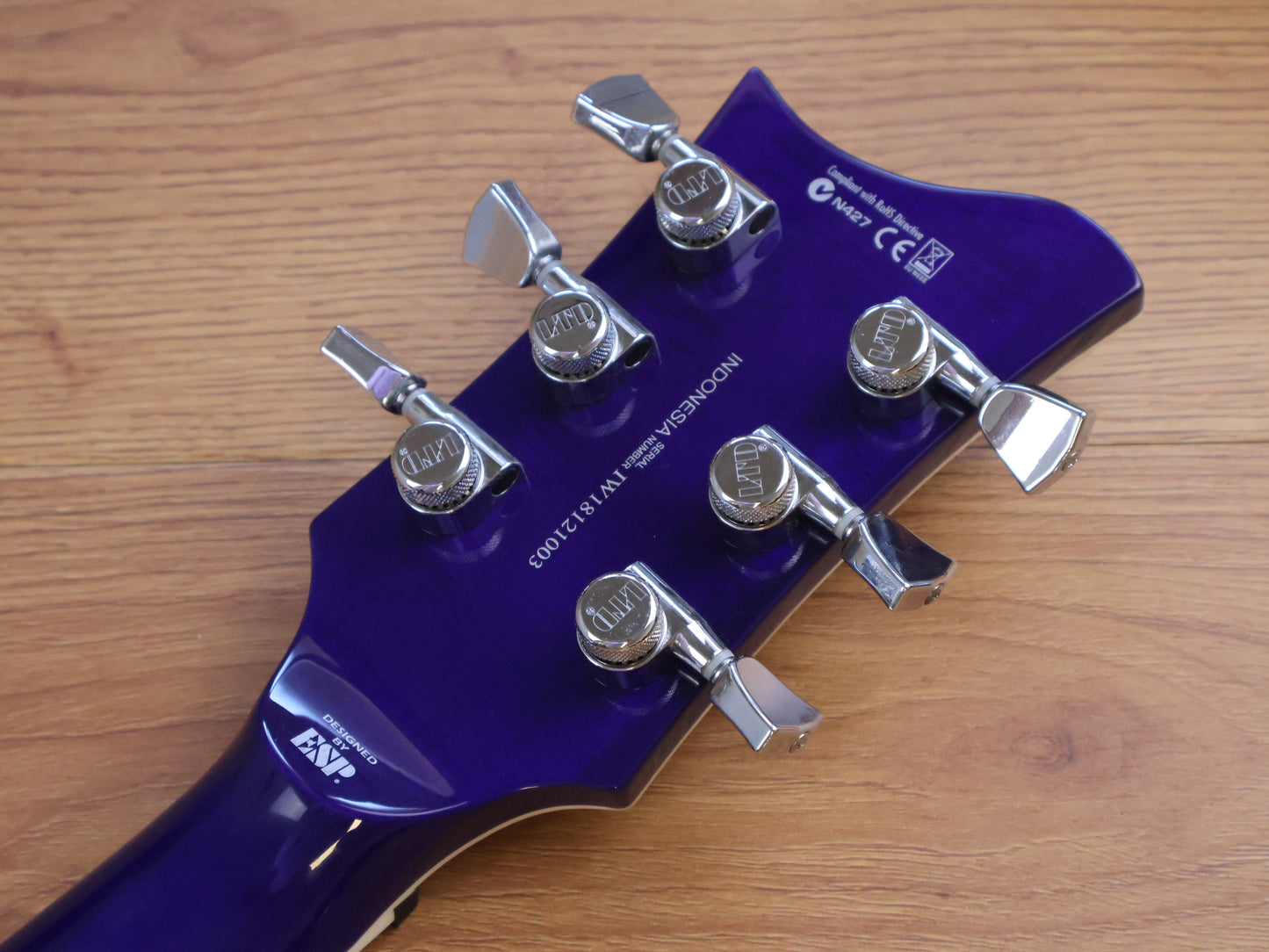 ESP LTD Xtone PS-1000 Semi-Hollow (Violet Shadow)