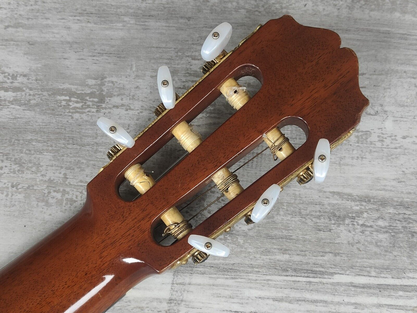 1982 Takamine Japan No 6 Concert Classical Guitar (Solid Spruce)