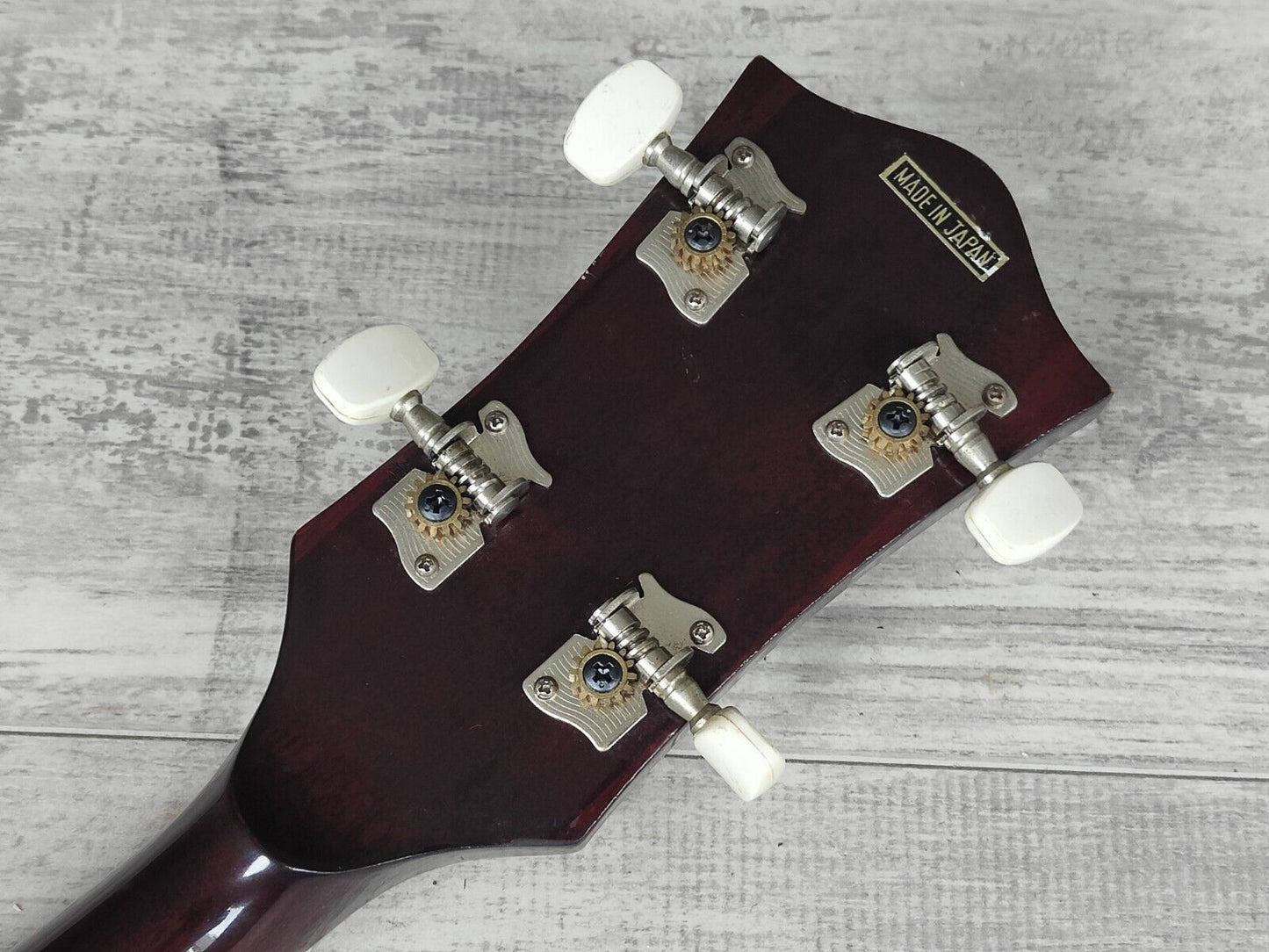 1970's Aria Japan Vintage 5-String Banjo