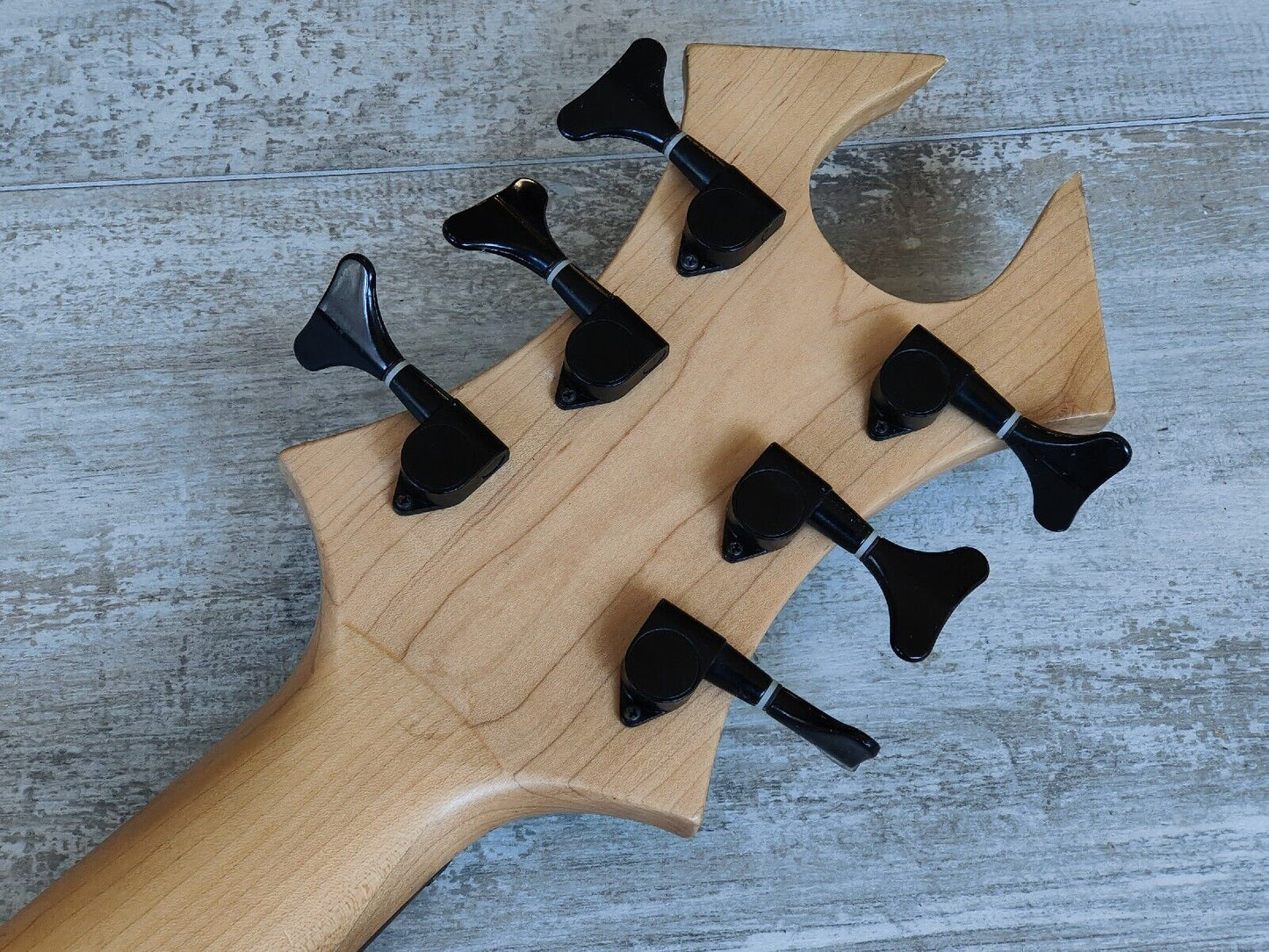 6-String Acrylic Beast Bass (You read that correctly..)