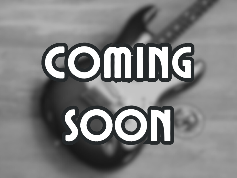 2010 Gibson USA Les Paul Standard Plus (Honey Burst)