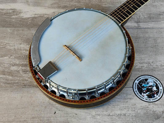 1970's Tenesy Japan "Thumb" 6-String Banjo