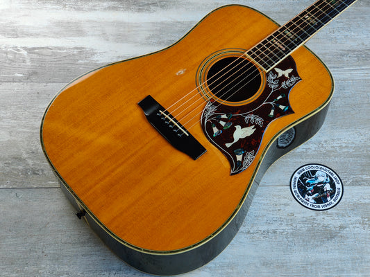 1980's Morris W-60 Japanese Vintage Acoustic Dreadnought "Hummingbird" (Natural)