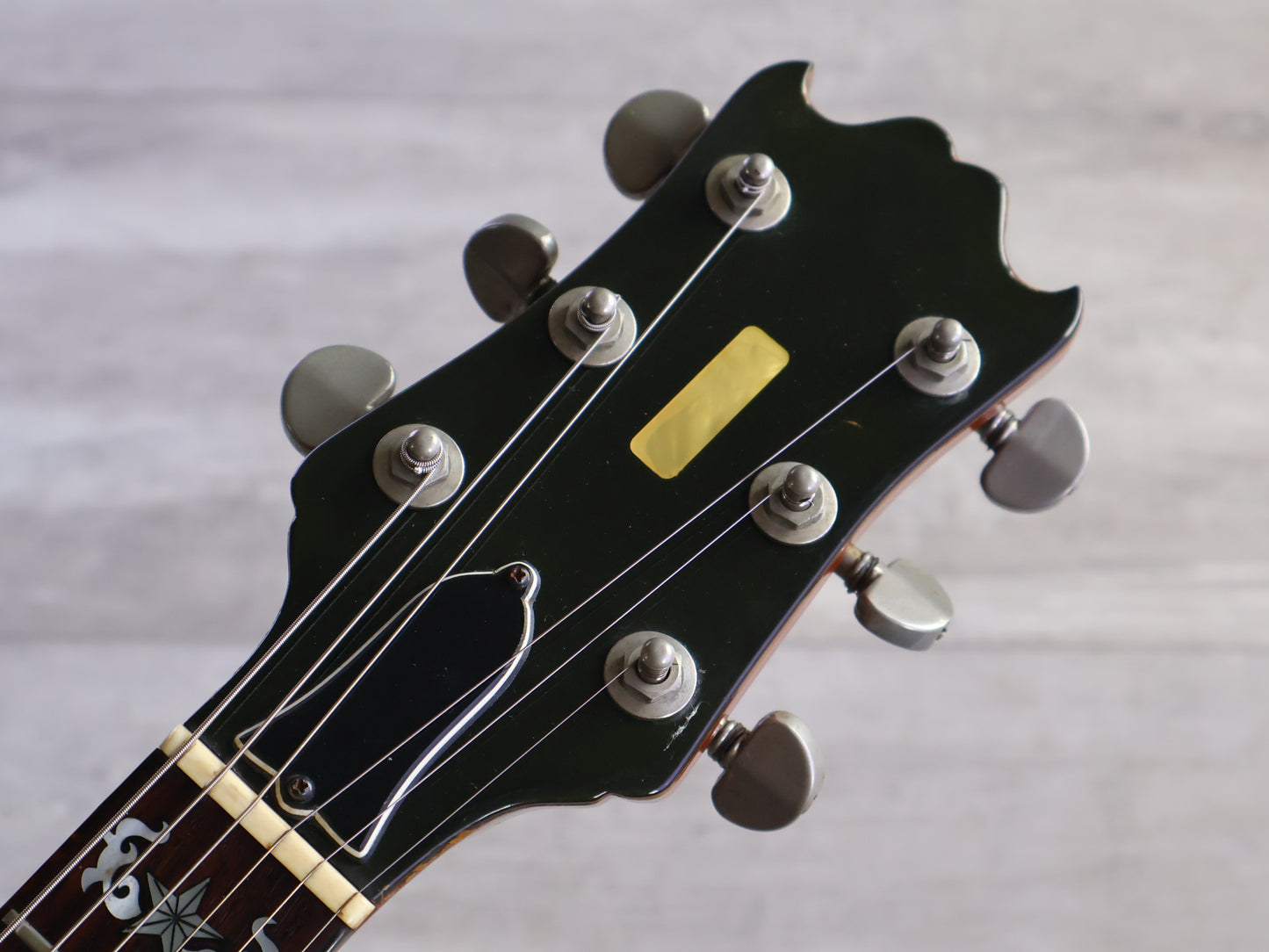 1970's ESP Japan Torrocco Semi Hollowbody (Mahogany)