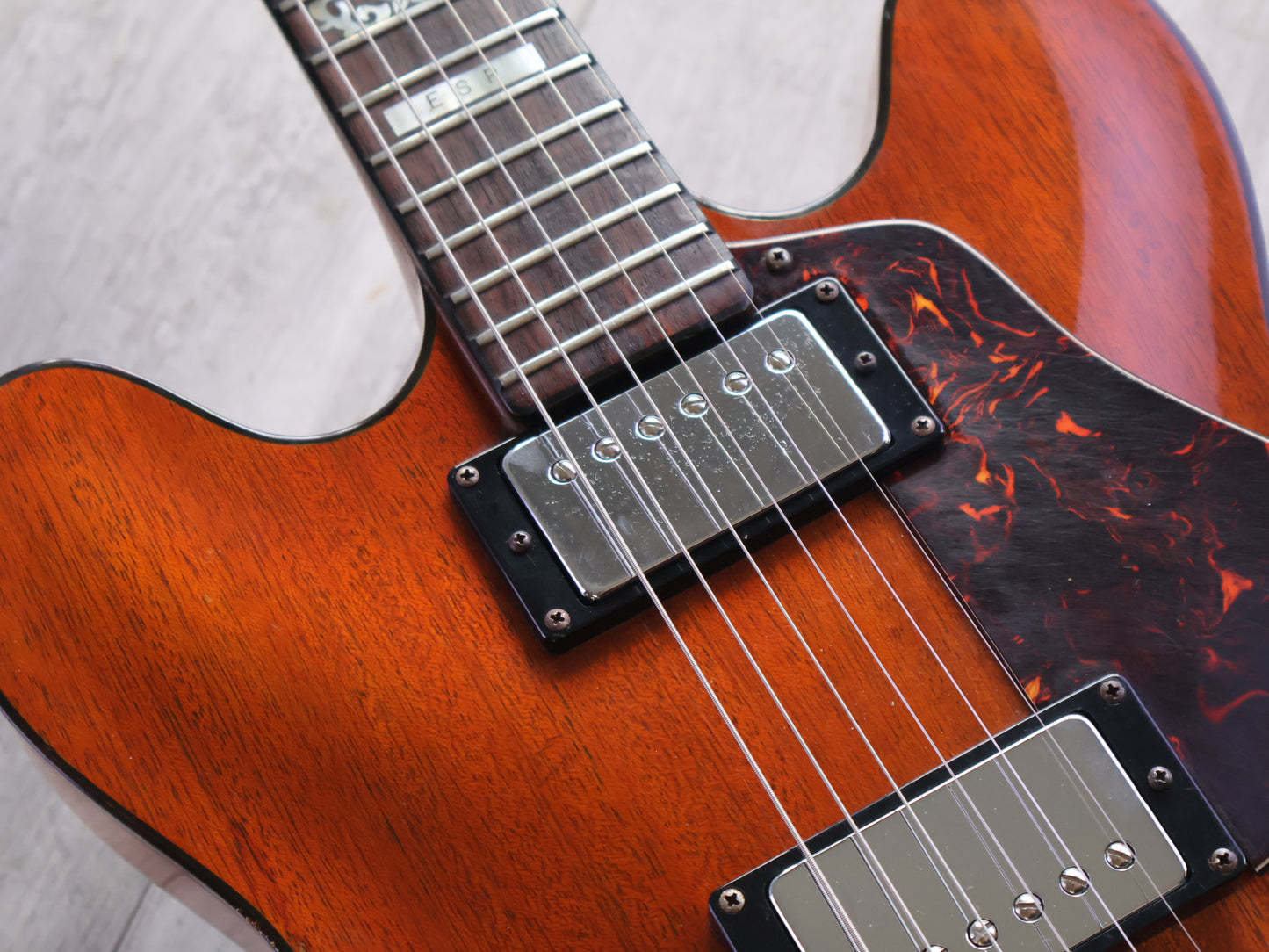 1970's ESP Japan Torrocco Semi Hollowbody (Mahogany)