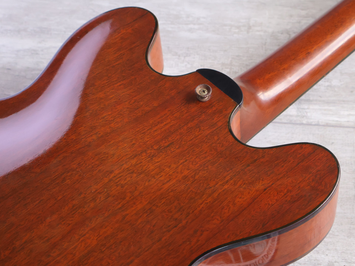 1970's ESP Japan Torrocco Semi Hollowbody (Mahogany)