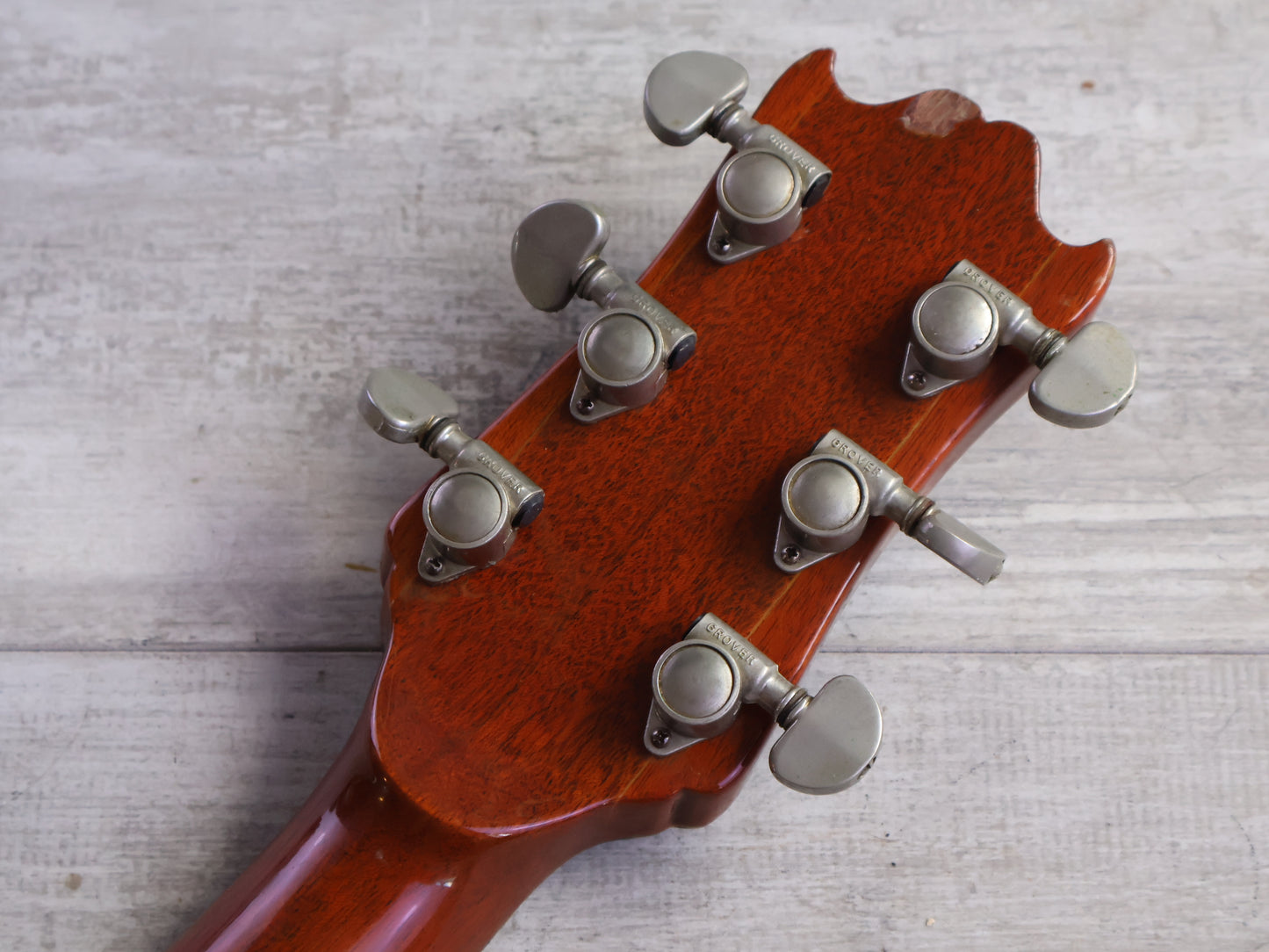 1970's ESP Japan Torrocco Semi Hollowbody (Mahogany)