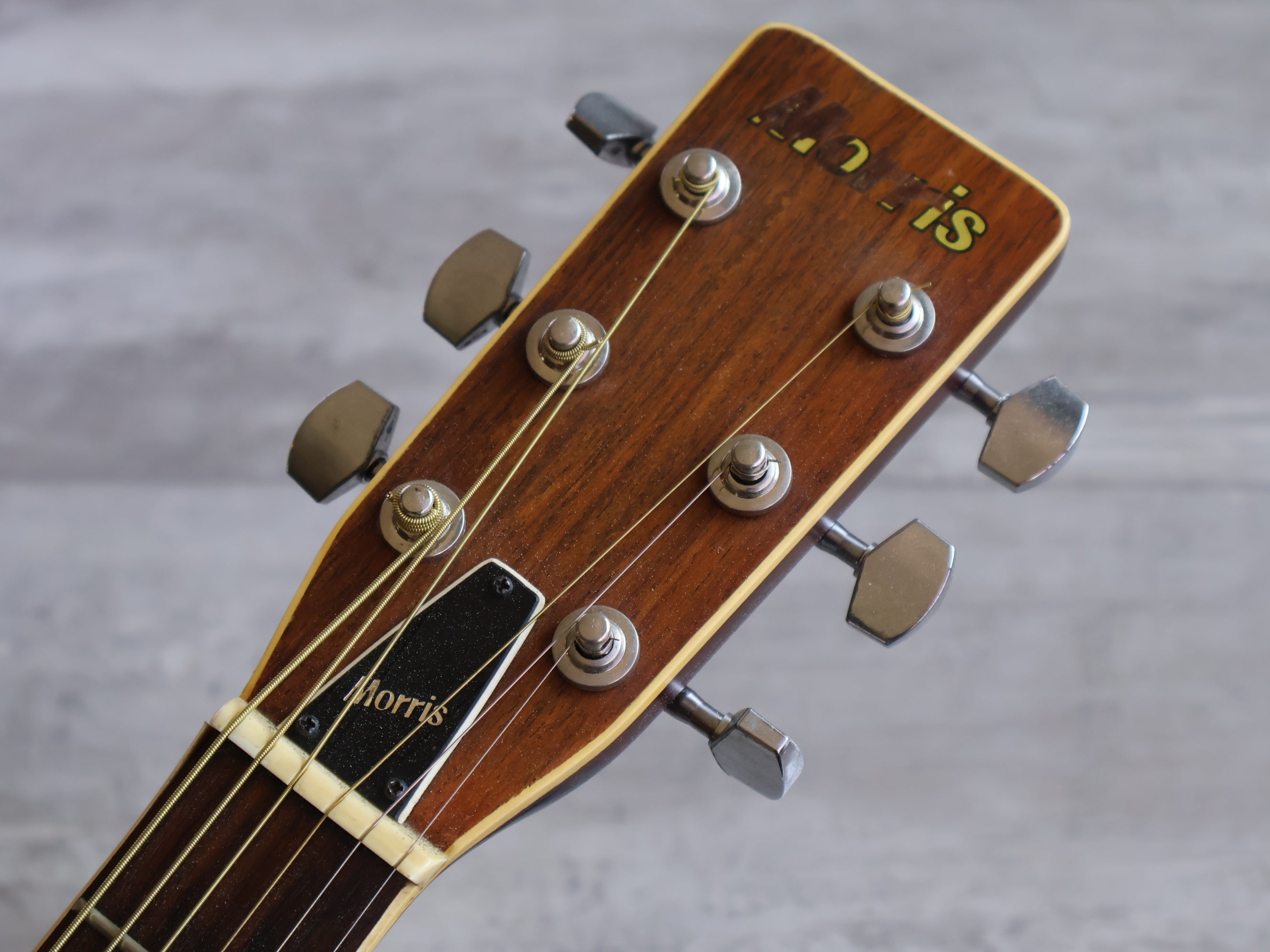 1980's Morris F-20 Japanese Vintage Acoustic Guitar (Natural
