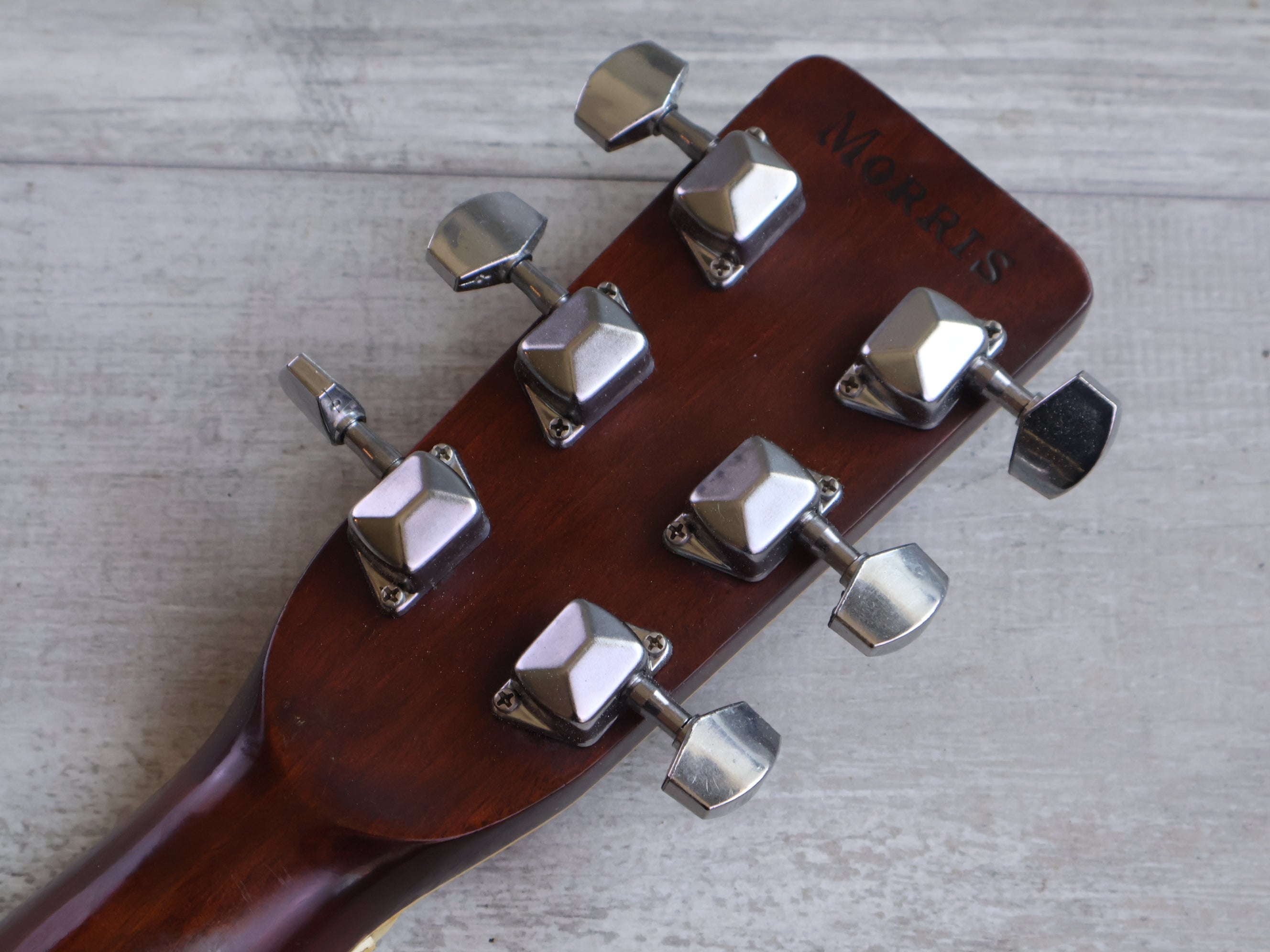 1980's Morris F-20 Japanese Vintage Acoustic Guitar (Natural