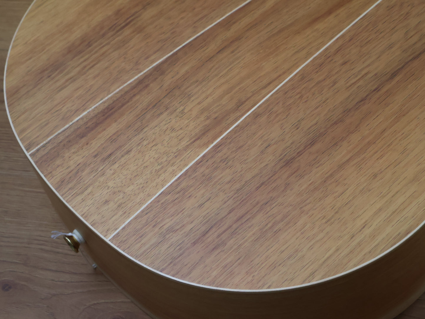 Cole Clark AN2EC-BLBL Angel Acoustic