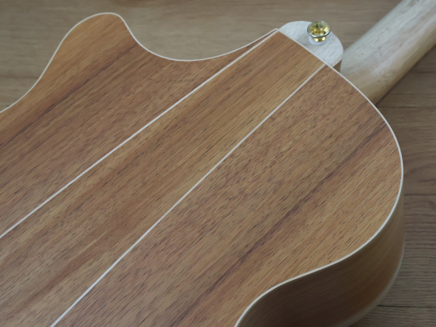 Cole Clark AN2EC-BLBL Angel Acoustic