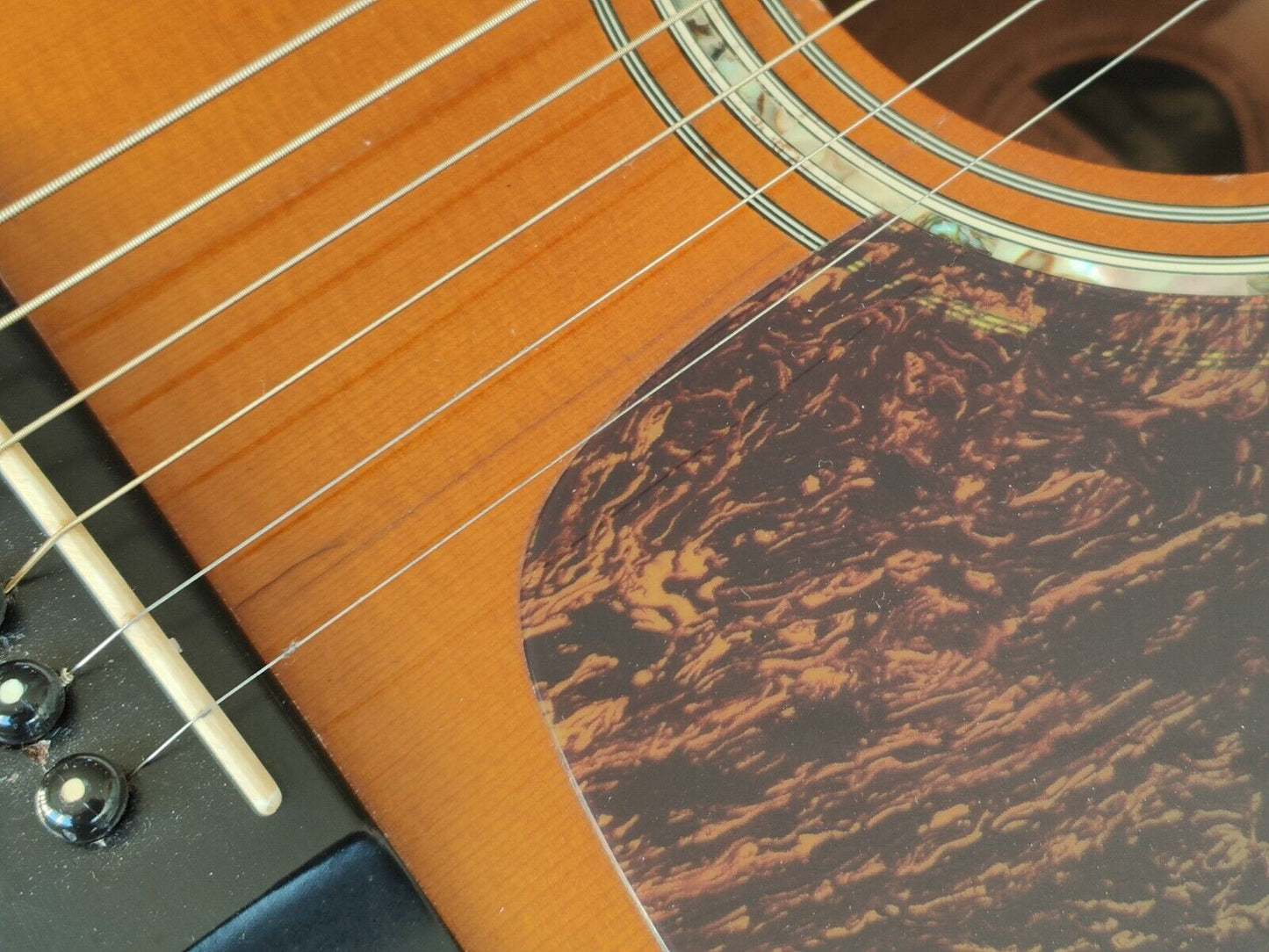 1980's Morris MF-601 Japanese Vintage Acoustic Guitar (Brown Sunburst)