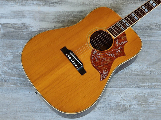 1975 Greco Japan Model 202 Hummingbird Acoustic (Natural)